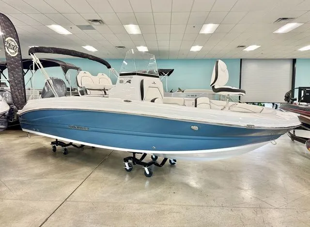 The Image of Stingray 206 CC 2025 - 1