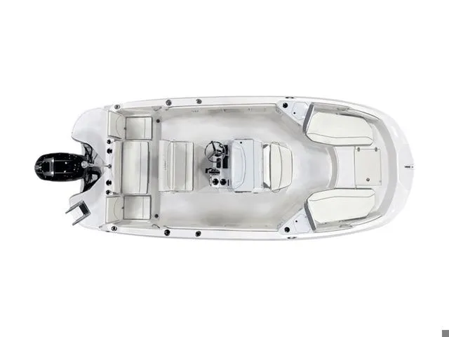 Slide: The Image of Stingray 206 CC 2025 - 15