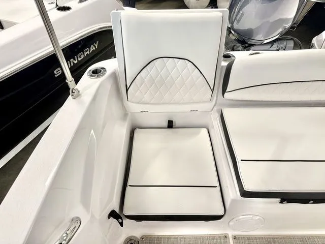 Slide: The Image of Stingray 206 CC 2025 - 7