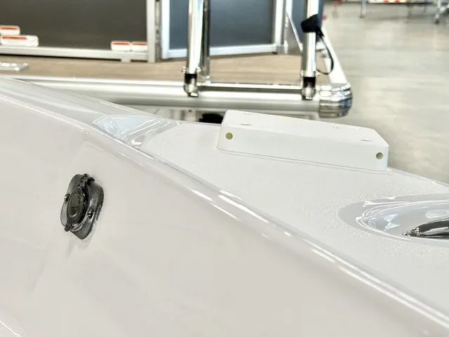 Slide: The Image of Stingray 206 CC 2025 - 9