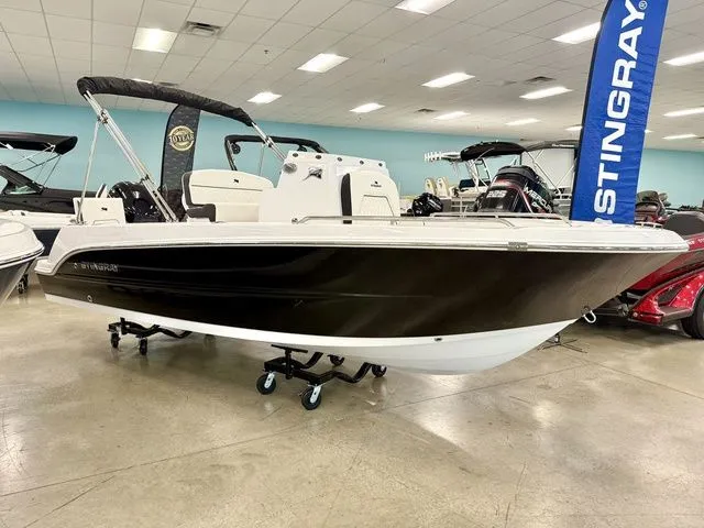 The Image of Stingray 173 CC 2026 - 1