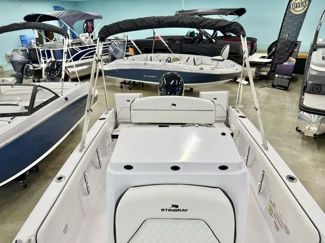 Slide: The Image of Stingray 173 CC 2026 - 12