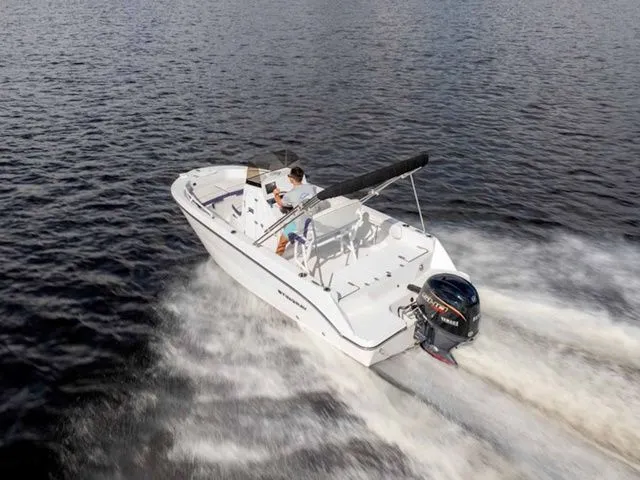 Slide: The Image of Stingray 173 CC 2026 - 16