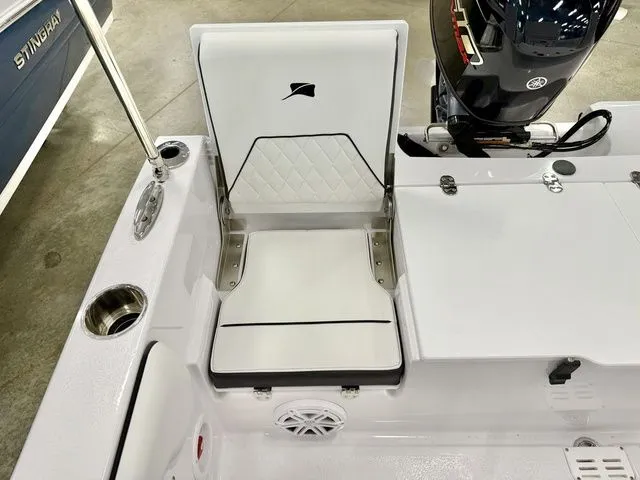 Slide: The Image of Stingray 173 CC 2026 - 4