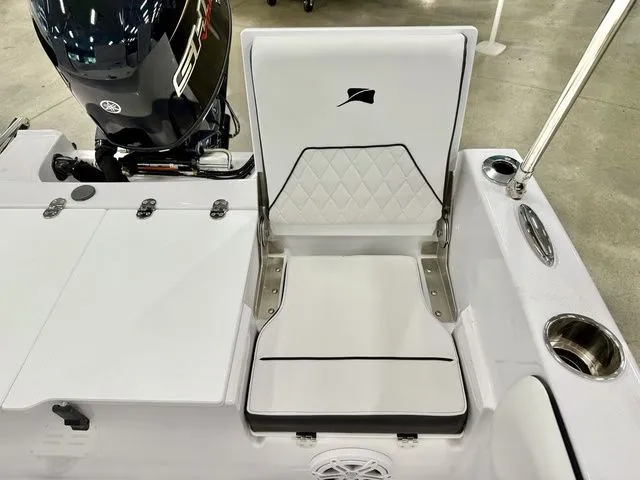 Slide: The Image of Stingray 173 CC 2026 - 5