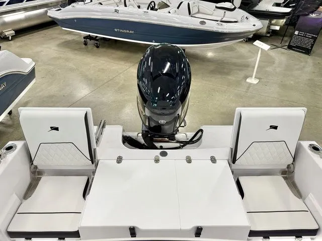 Slide: The Image of Stingray 173 CC 2026 - 6