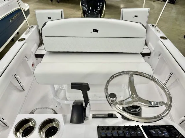 Slide: The Image of Stingray 173 CC 2026 - 8