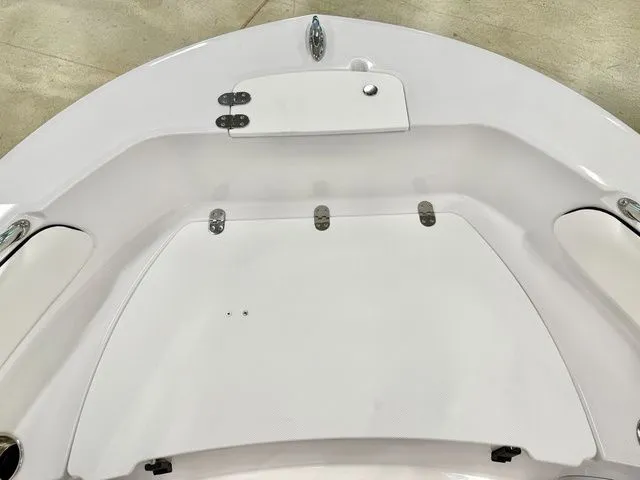 Slide: The Image of Stingray 173 CC 2026 - 9