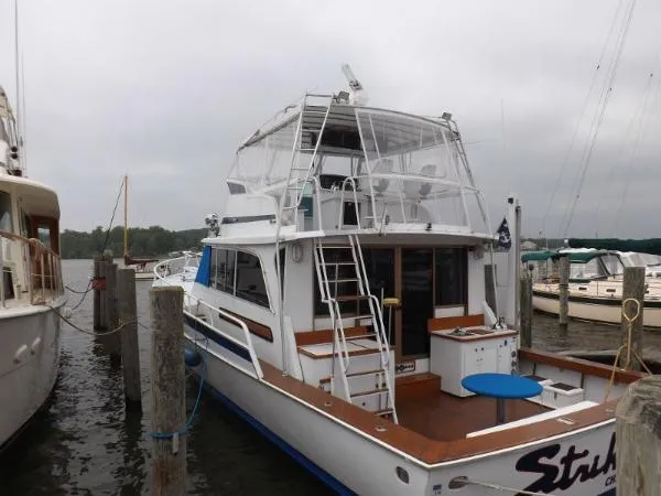 Slide: The Image of Striker 54' 1971 - 3