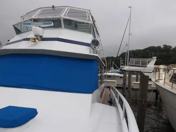 Slide: The Image of Striker 54' 1971 - 5