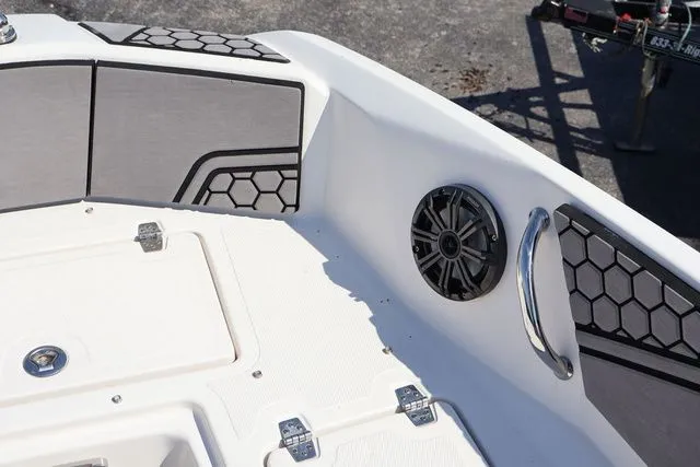 Slide: The Image of Scarab 195 Open 2017 - 20