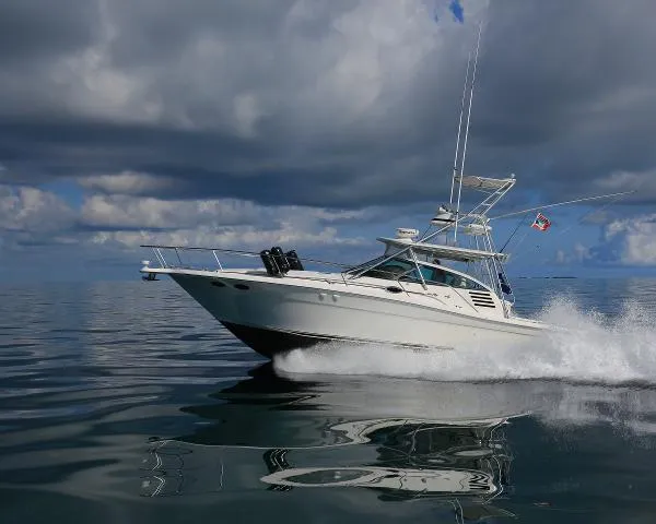 Slide: The Image of Sea Ray Express Cruiser W/Marlin Tower 1999 - 0