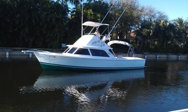 Slide: The Image of Bertram 31 Sportfisher 1965 - 0
