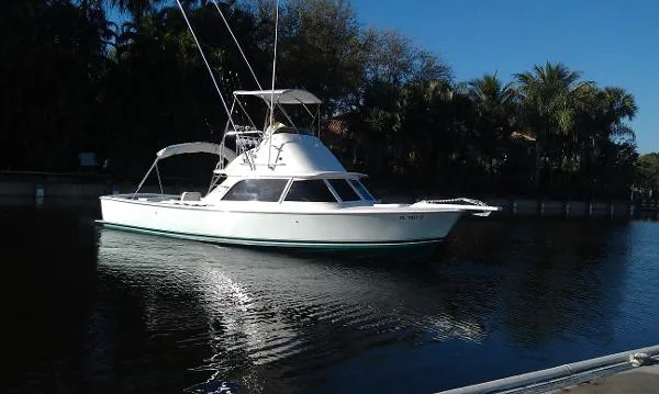 Slide: The Image of Bertram 31 Sportfisher 1965 - 1
