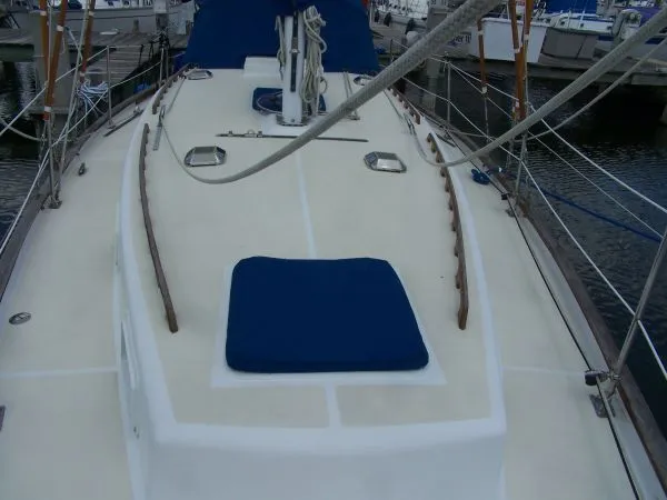 Slide: The Image of Bruce Roberts Cutter 1987 - 8