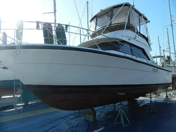 Slide: The Image of Phoenix Bass Boat Sportfish 1988 - 1