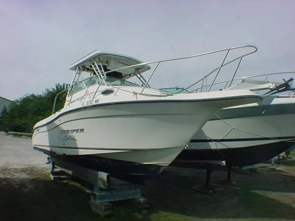 Slide: The Image of Sea Swirl STRIPPER 2004 - 0