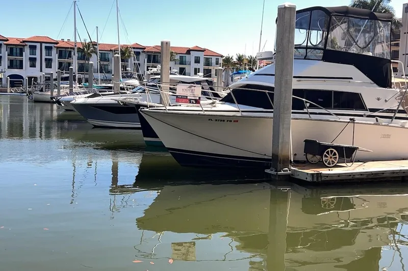 Slide: The Image of 1981 Bertram 33 Sport Fisherman docked at marina, reflecting on calm water. - 2