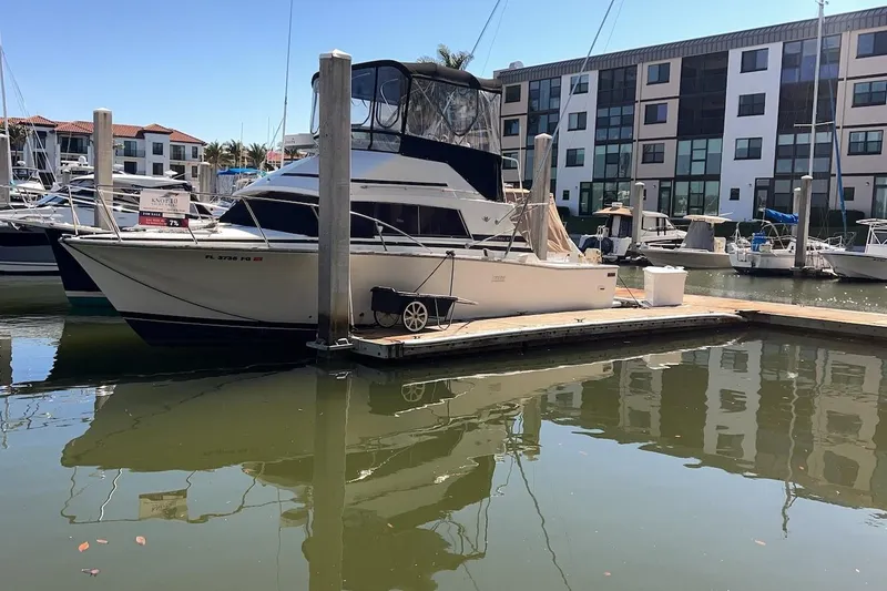 Slide: The Image of 1981 Bertram 33 Sport Fisherman docked at marina with waterfront buildings. - 3