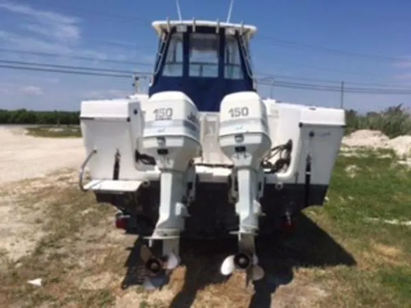 Slide: The Image of Seaswirl Striper 1997 - 3