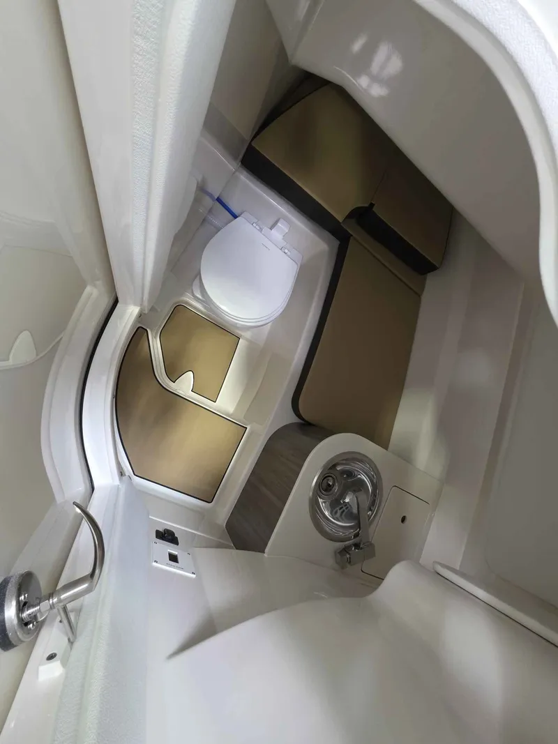 Slide: The Image of Sea Ray 250SDX 2026 - 16