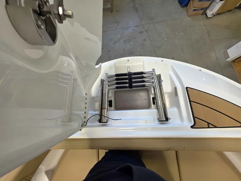 Slide: The Image of Sea Ray 250SDX 2026 - 19