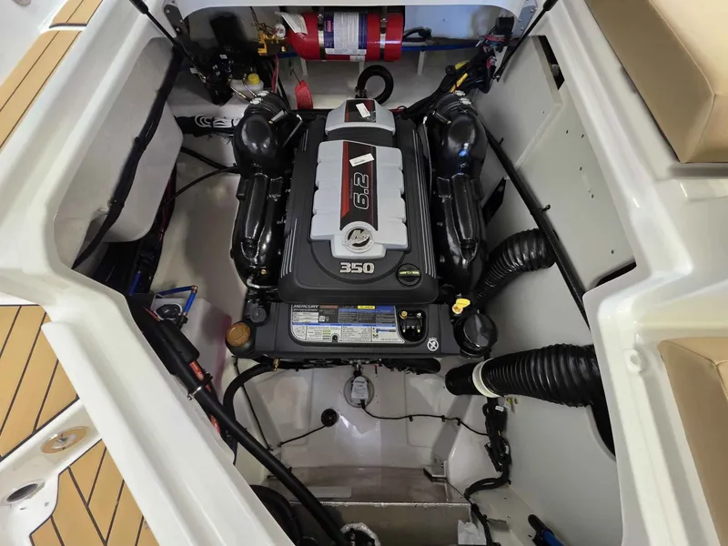 Slide: The Image of Sea Ray 250SDX 2026 - 8