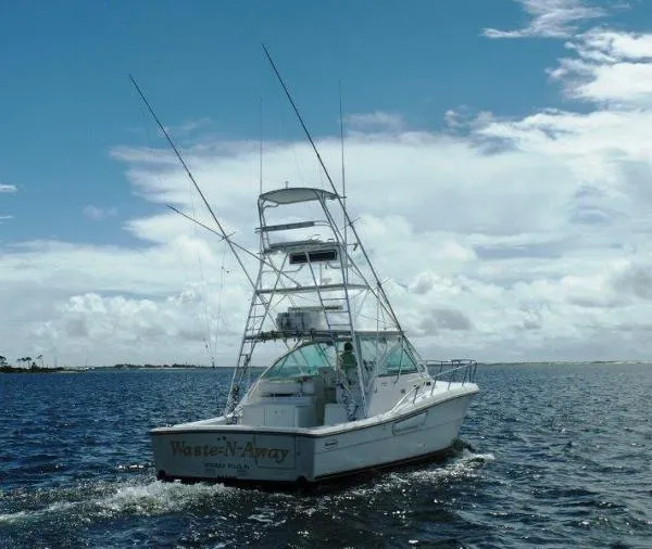 Slide: The Image of Rampage 38 Express 2002 - 4