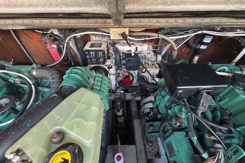 Slide: The Image of Carolina 28 2003 - 55