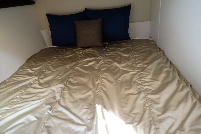 Slide: The Image of Carver C37 2019 - 184