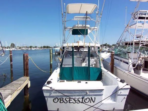 Slide: The Image of Baha Cruisers Weekend Tournament Fisherman 1995 - 2