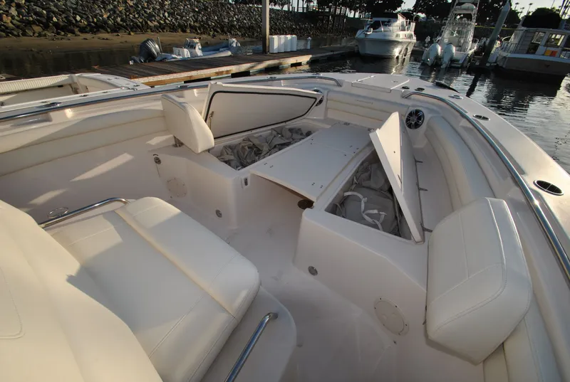 Slide: The Image of Grady-White Canyon 336 2021 - 10