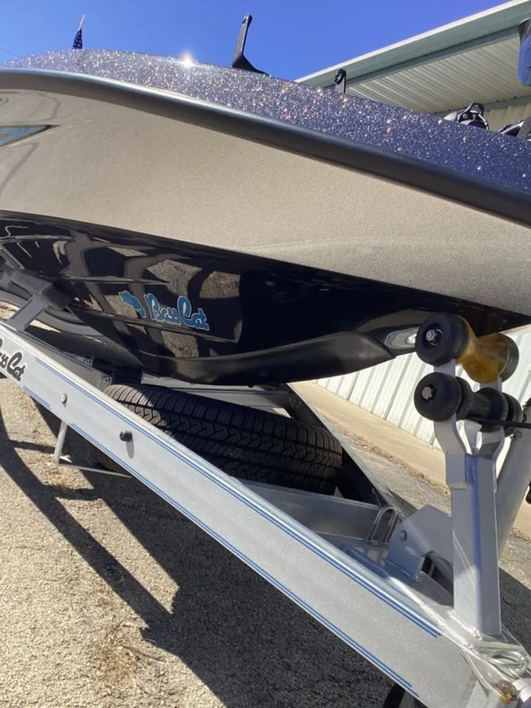 Slide: The Image of Bass Cat Cougar FTD 2025 - 14