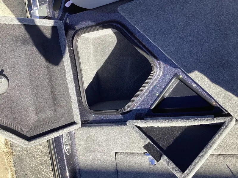 Slide: The Image of Bass Cat Cougar FTD 2025 - 20