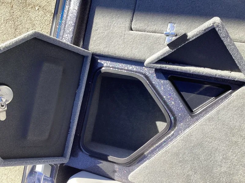 Slide: The Image of Bass Cat Cougar FTD 2025 - 21