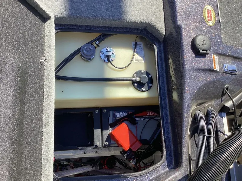 Slide: The Image of Bass Cat Cougar FTD 2025 - 23