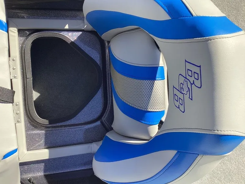 Slide: The Image of Bass Cat Cougar FTD 2025 - 29