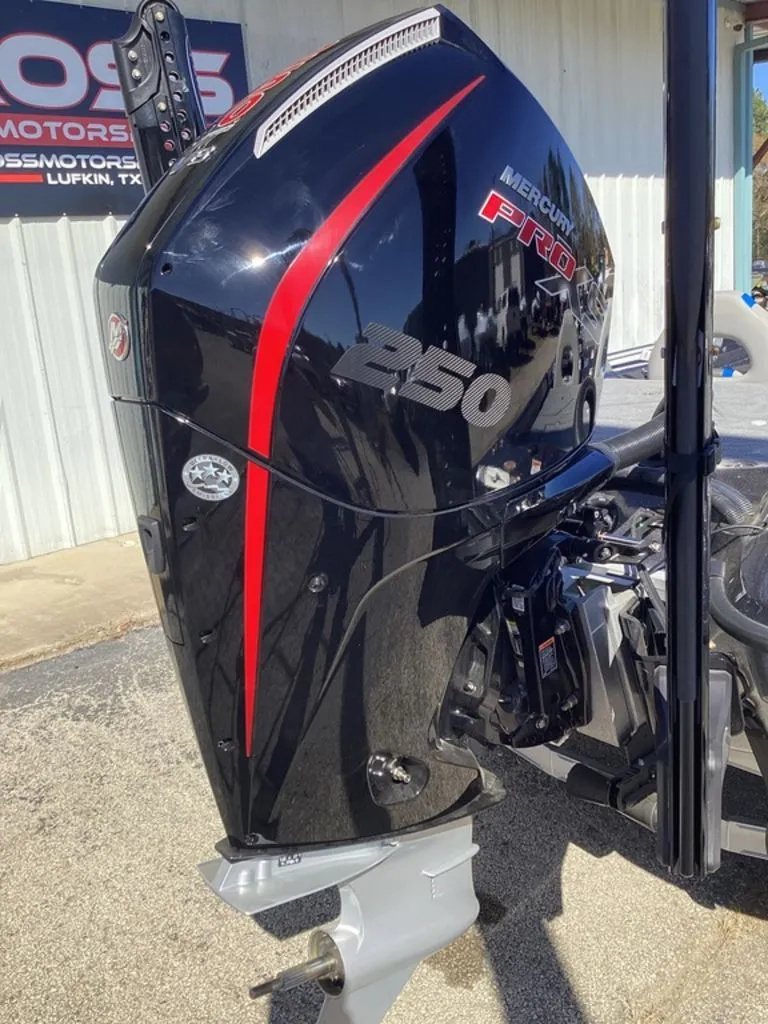 Slide: The Image of Bass Cat Cougar FTD 2025 - 3