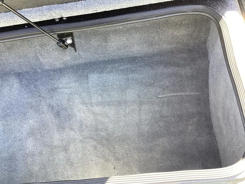 Slide: The Image of Bass Cat Cougar FTD 2025 - 52