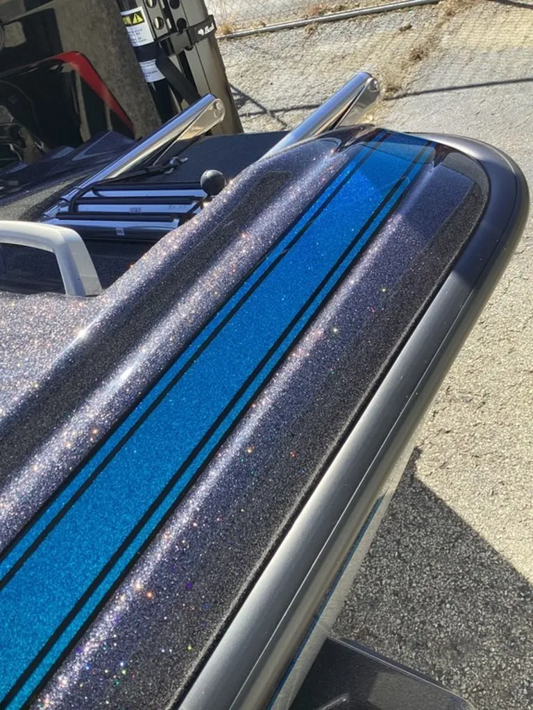 Slide: The Image of Bass Cat Cougar FTD 2025 - 6