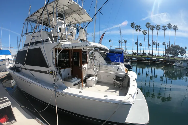Slide: The Image of 1984 Uniflite 38 Convertible yacht docked in sunny marina with palm trees. - 5