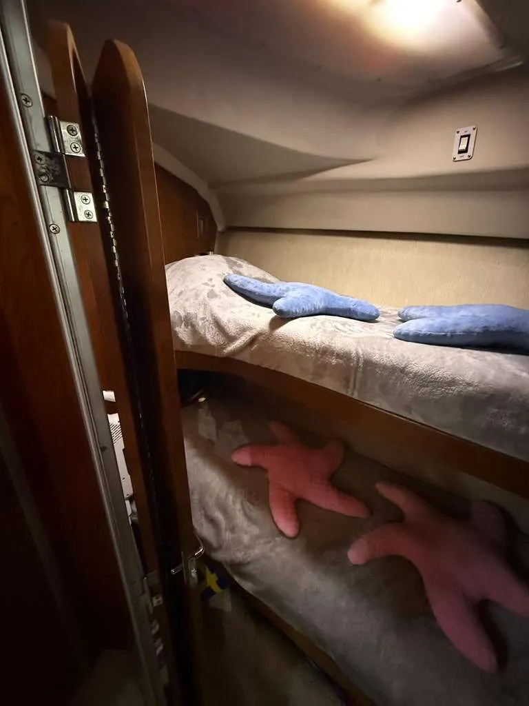 Slide: The Image of 1995 Luhrs Tournament 350 cabin with bunk beds and starfish pillows. - 18