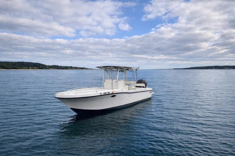 The Image of 2017 Dusky 252 boat on calm water under cloudy sky. - 0