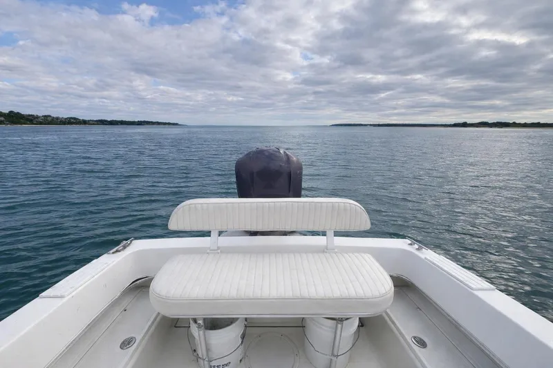 Slide: The Image of Dusky 252 boat, 2017 model, on calm water under a cloudy sky. - 4