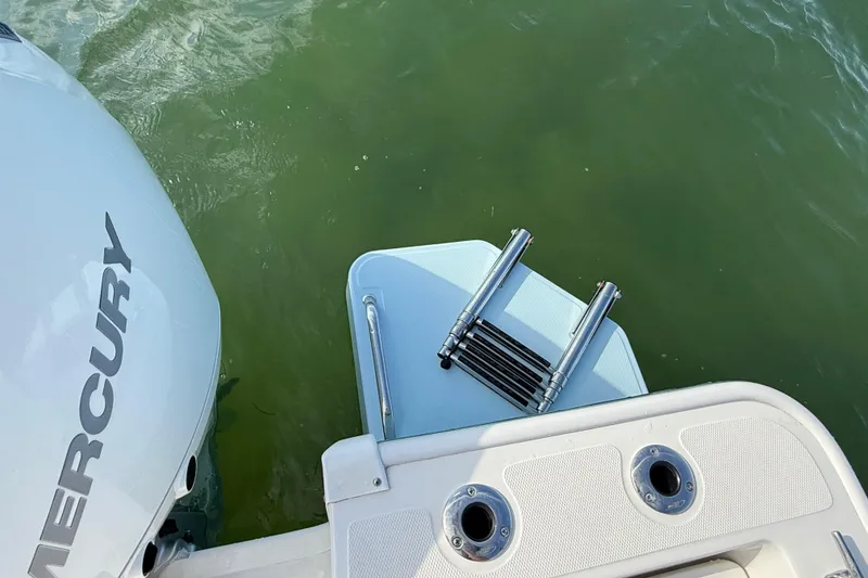 Slide: The Image of 2024 Boston Whaler 210 Montauk boat with Mercury engine and swim ladder. - 9