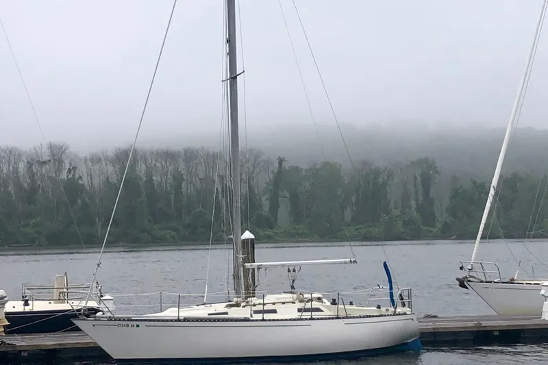 The Image of 1975 WDS Santana sailboat docked on a misty lake with forested background. - 0