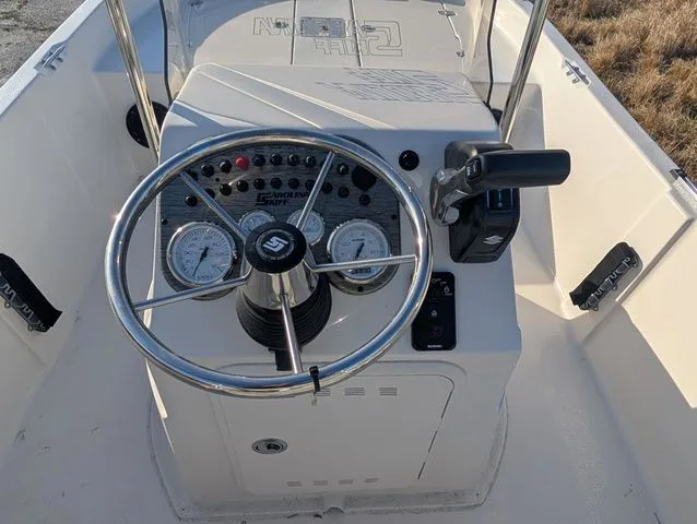 Slide: The Image of Carolina 178JLS 2026 - 10