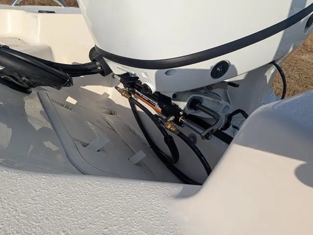 Slide: The Image of Carolina 178JLS 2026 - 15