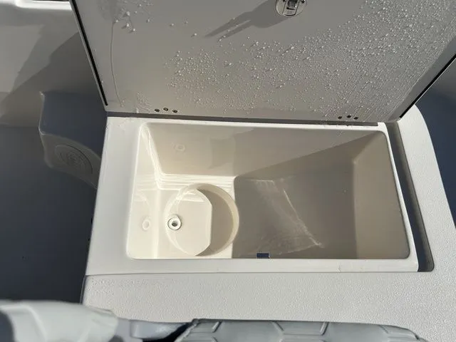 Slide: The Image of Carolina 21LS 2026 - 9