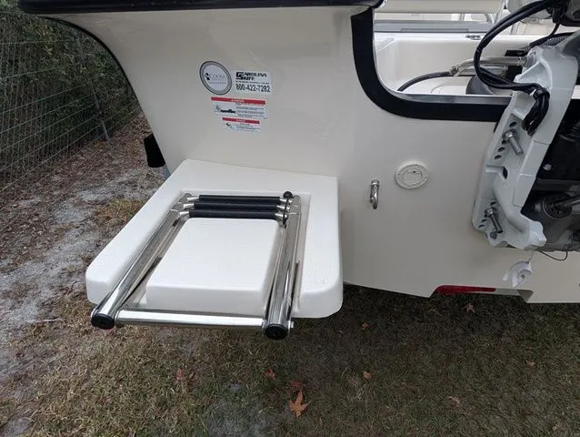 Slide: The Image of Carolina 21LS 2026 - 13